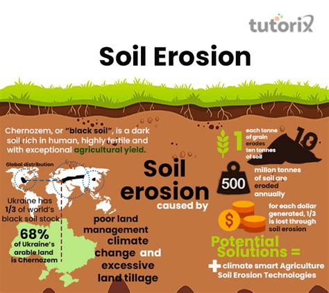 soil erosion effects on living things|Soil Erosion: Factors, Processes and Effects .